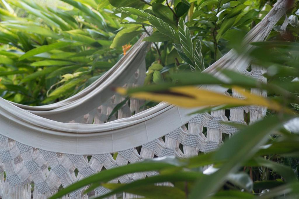 Pousada Mangabeiras Velha Boipeba Ngoại thất bức ảnh